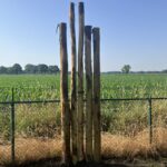Kastanje paal 400 cm lang, diameter 10/12 cm, ongepunt en kastanje paal 350 cm lang, diameter 13/16 cm ongepunt, uitkijkpost foto's
