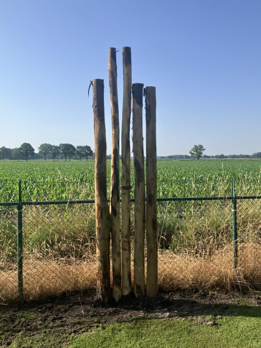 Kastanje paal 400 cm lang, diameter 10/12 cm, ongepunt en kastanje paal 350 cm lang, diameter 13/16 cm ongepunt, uitkijkpost foto's