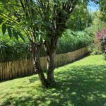 Schapenhek Robinia geschuurd 100 hoog, latafstand 4 cm, Robinia paal 160 cm lang, diam. 8-10 cm geschild gepunt en Robinia paal 180 cm lang, diam. 10-12 cm,geschild gepunt