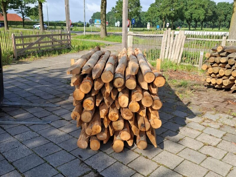 kastanje palen - 300 cm lang - diameter 13/16 cm gepunt- prijs per stuk
