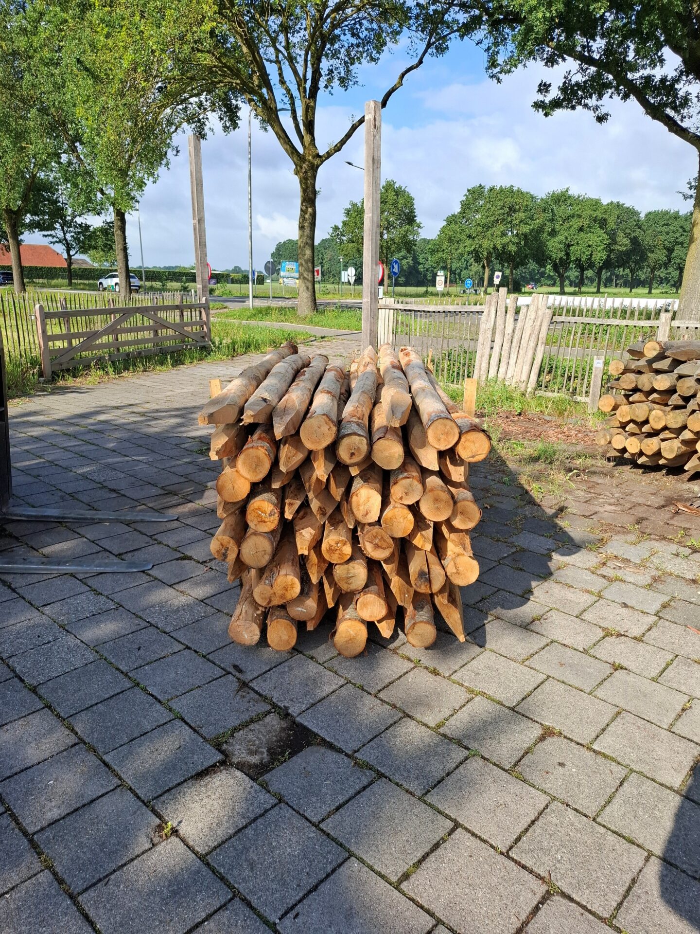 kastanje palen – 300 cm lang – diameter 13/16 cm gepunt- prijs per stuk