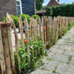 Frans schapenhek kastanje 80 cm hoog, latafstand 6 cm, 10 meter rol, kastanje paal 250 cm lang, diameter 10-12 cm, gepunt en RVS schroeven 4,5 x 60, 100 stuks inclusief bitje, schapenhek met bloemen