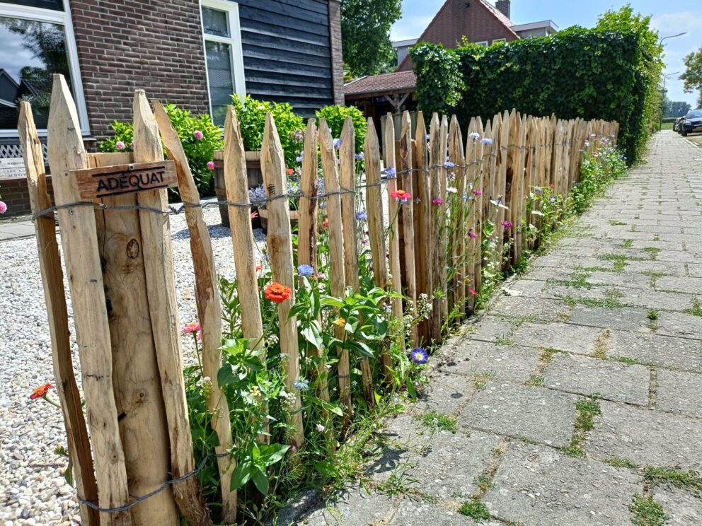 Frans schapenhek kastanje 80 cm hoog, latafstand 6 cm, 10 meter rol, kastanje paal 250 cm lang, diameter 10-12 cm, gepunt en RVS schroeven 4,5 x 60, 100 stuks inclusief bitje, schapenhek met bloemen