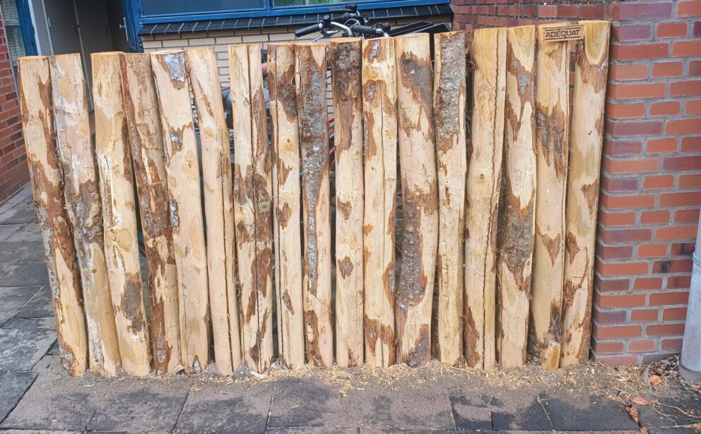 Kastanje paal 175 cm lang, diam. 10-12 cm, gepunt