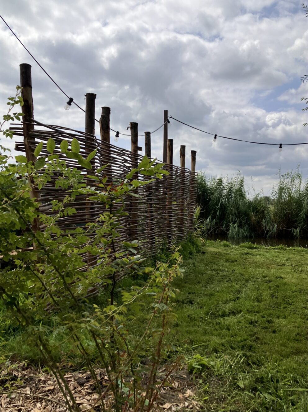 Wilgentenen per bos (18-20 tenen) en Kastanje paal 300 cm lang, diam. 7-9 cm, gepunt