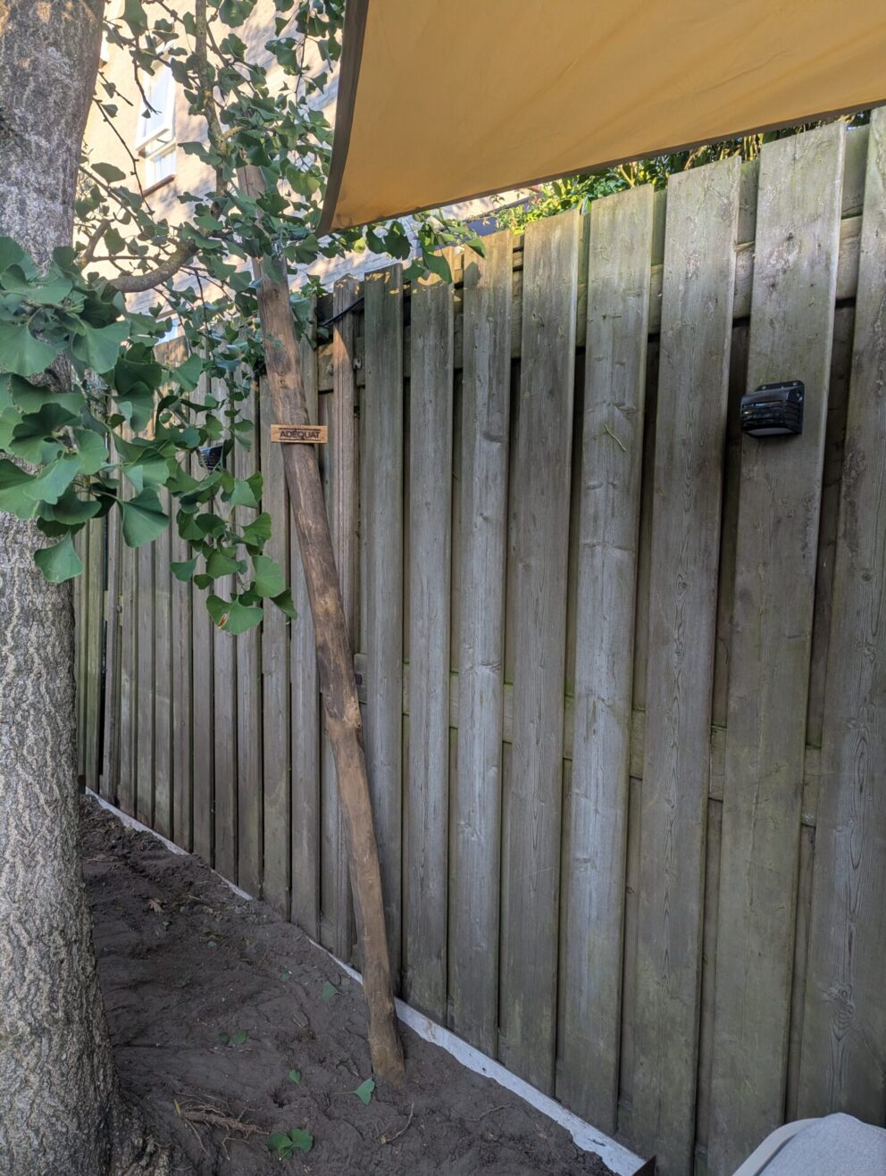 Mooie kastanjepaal
