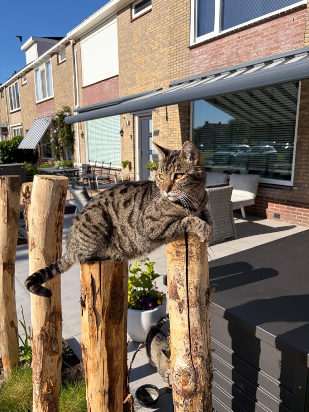 Kastanjepalen als decoratie in de voortuin