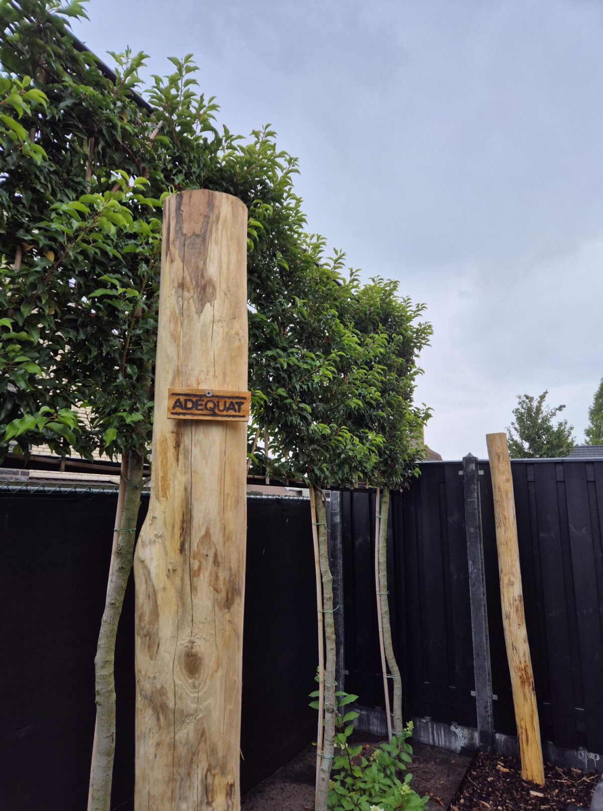 Robinia paal 300 cm lang, diam. 12-14 cm,geschild gepunt, wellness