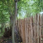 Frans schapenhek kastanje 150 hoog, latafstand 4 cm, 2x 5m rol