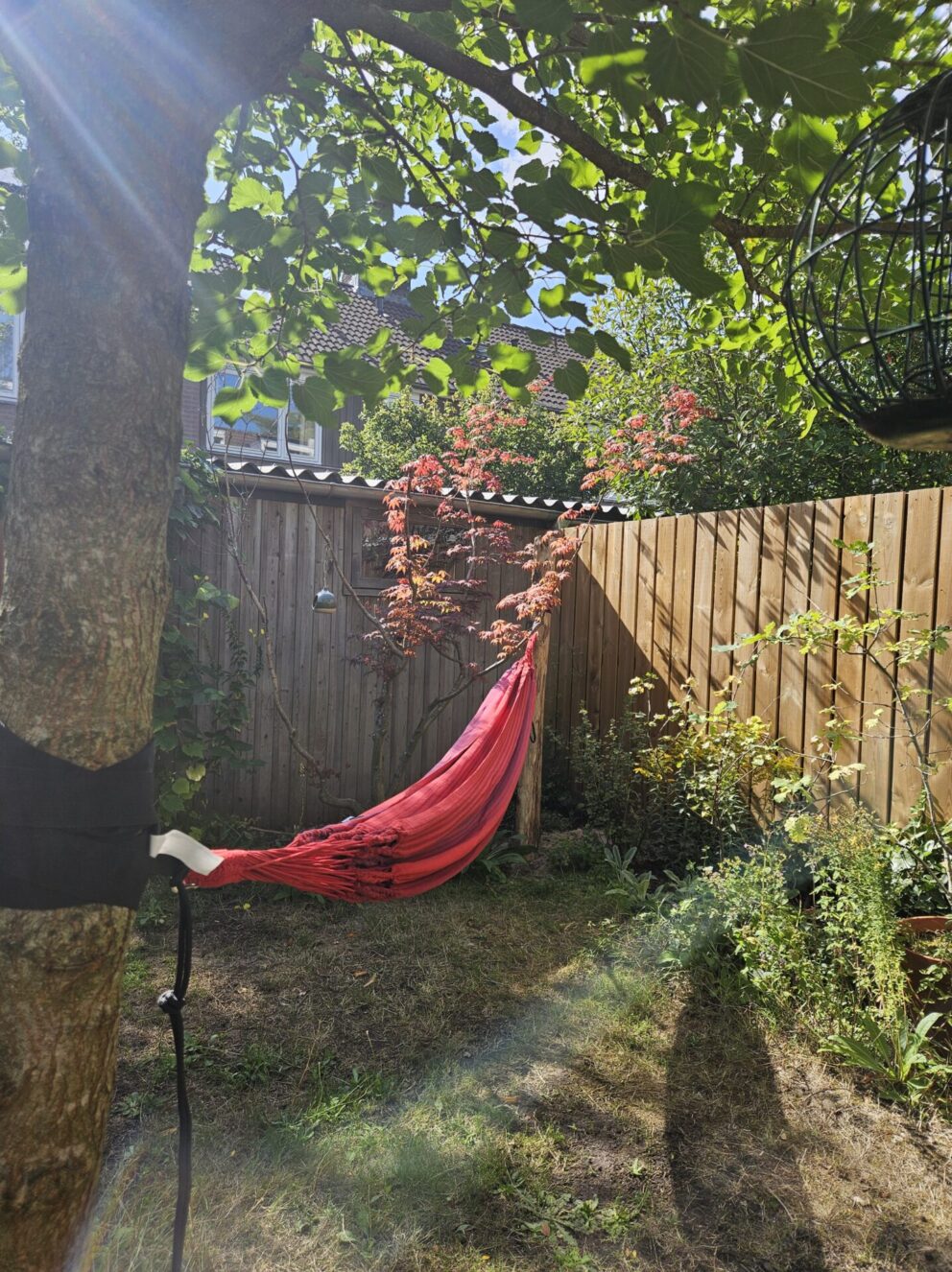 Robinia paal 300 cm lang, diam. 12-14 cm,geschild gepunt, hangmat