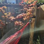 Robinia paal 300 cm lang, diam. 12-14 cm,geschild gepunt, hangmat