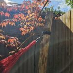 Robinia paal 300 cm lang, diam. 12-14 cm,geschild gepunt, hangmat