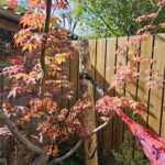 Robinia paal 300 cm lang, diam. 12-14 cm,geschild gepunt, hangmat
