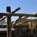 Kastanje paal 500 cm lang, diameter 7/9 cm, ongepunt, kastanje paal 250 cm lang, diameter 13/16 cm, ongepunt, kastanje paal 500 cm lang, diameter 13/16 cm, ongepunt, kastanje plank gezaagd , 4x20x250 cm en kastanje paal 175 cm lang, diameter 7/9 cm, gepunt, terras en pergola