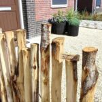 Kastanje paal 150/160 cm lang, diam. 7-9 cm, gepunt, palenwand