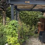Frans schapenhek kastanje 200 cm hoog, latafstand 2 cm, 3 meter rol, schapenhek op pergola