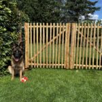 Schapenhek poort kastanje dubbel 120Bx120H (cm), hond