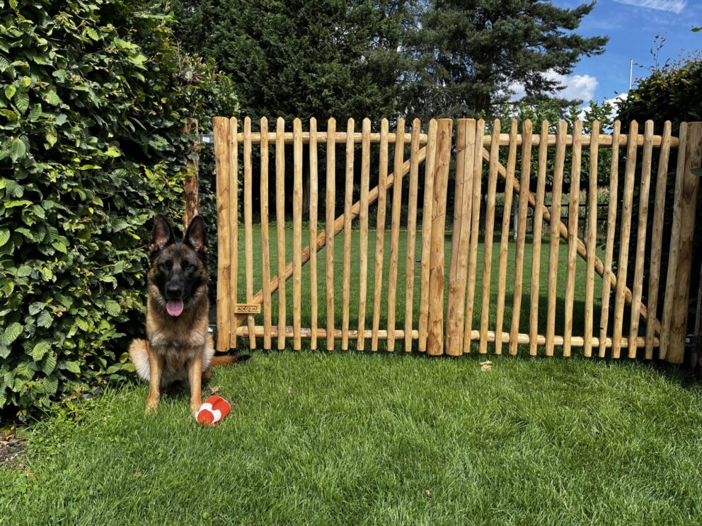 Mooie schapenhekpoort met een (niet zo) blije hond