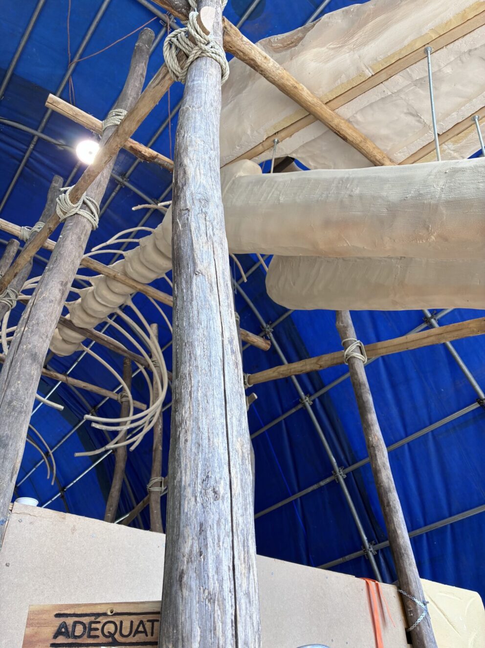 Robinia/kastanje paal aanbieding, Brabantsedag wagen
