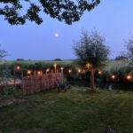 Wilgentenen per bos (18-20 tenen), sfeerverlichting