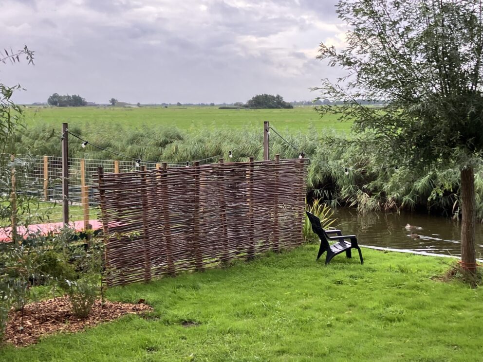 Wilgentenen per bos (18-20 tenen), sfeerverlichting