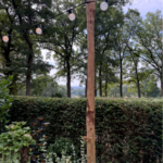 Kastanje paal 300 cm lang, diam. 7-9 cm, gepunt, sfeerverlichting