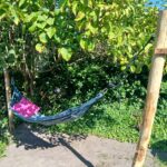Robinia paal 300 cm lang, diam. 10-12 cm, geschild gepunt, hangmat