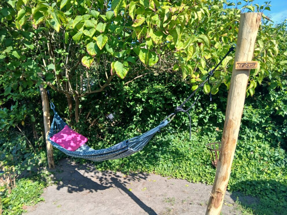 Mooie hangmat bevestigd aan twee robinia palen