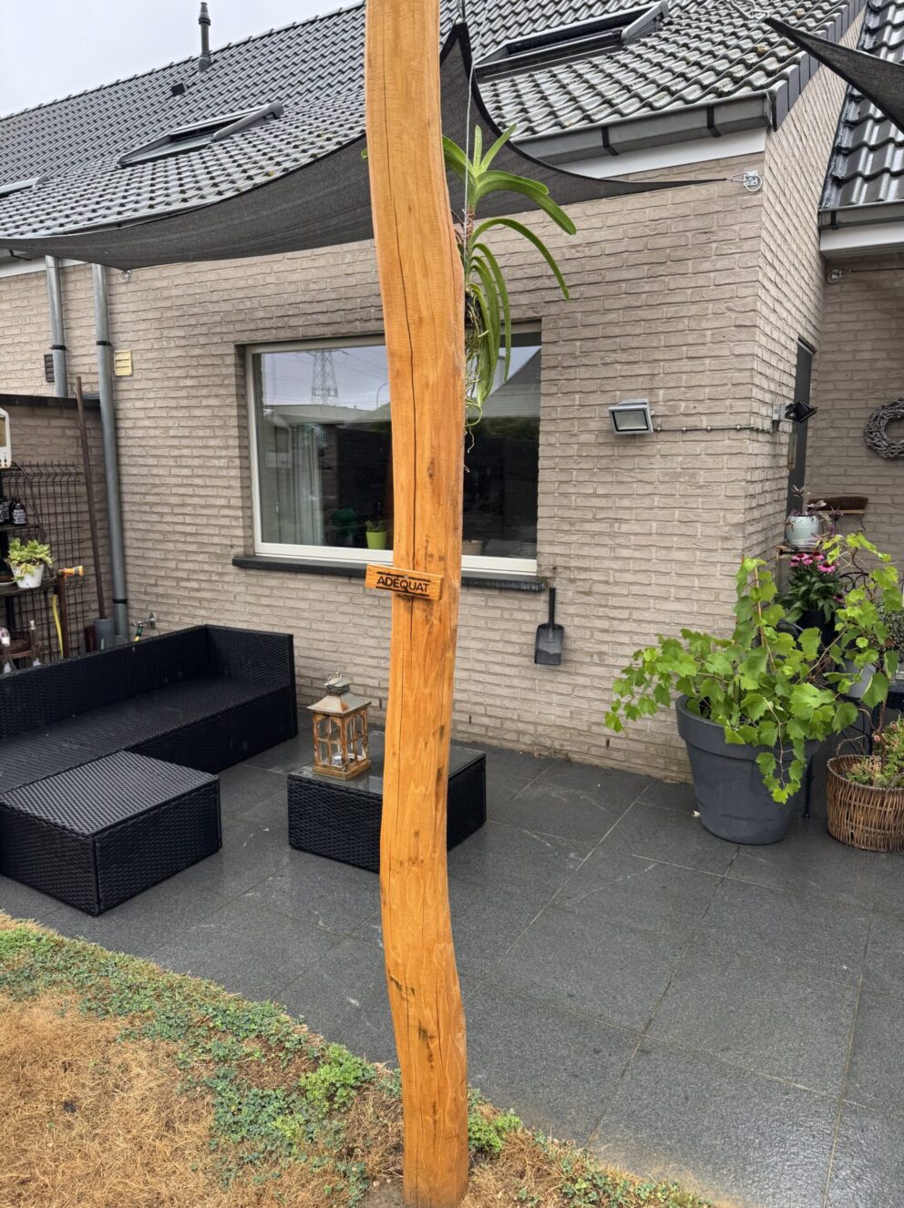 Robinia paal 400 cm lang, diam. 10-12 cm, geschuurd, voor schaduwdoek