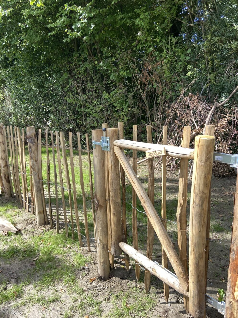Mooie kastanje raamwerkpoort (enkel)