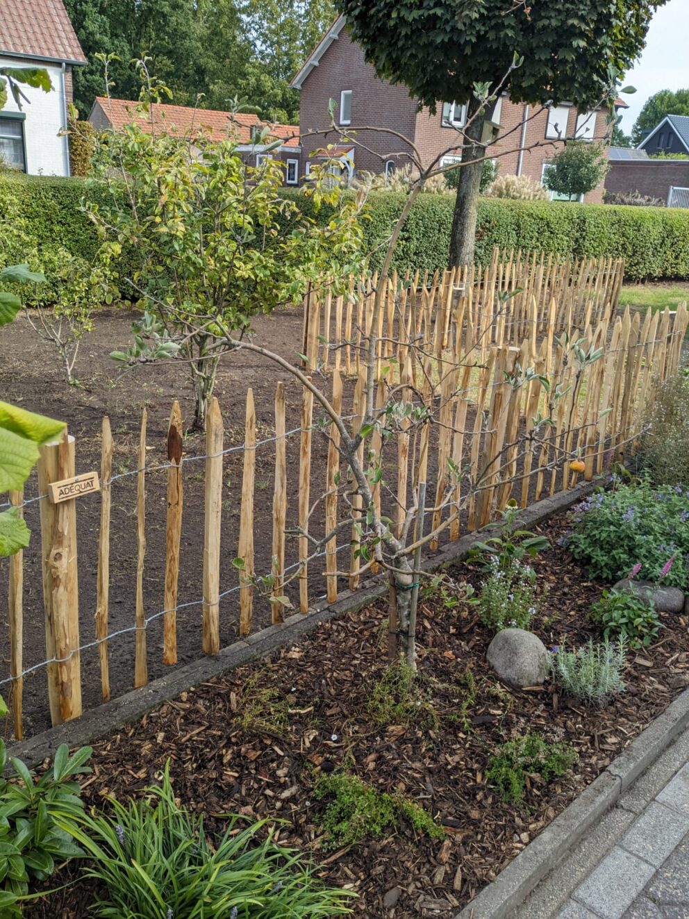 Prachtig schapenhek met (volgend jaar…) een prachtige bloemenweide!