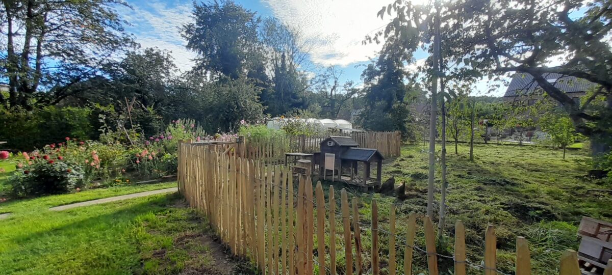 Frans schapenhek kastanje 100 hoog, latafstand 6 cm, 10m rol, Robinia paal 180 cm lang, diam. 8-10 cm, geschild gepunt, Robinia paal 180 cm lang, diam. 10-12 cm,geschild gepunt en Raamwerkpoort kastanje enkel 120Bx100H (cm), rechtsdraaiend, kippenhok