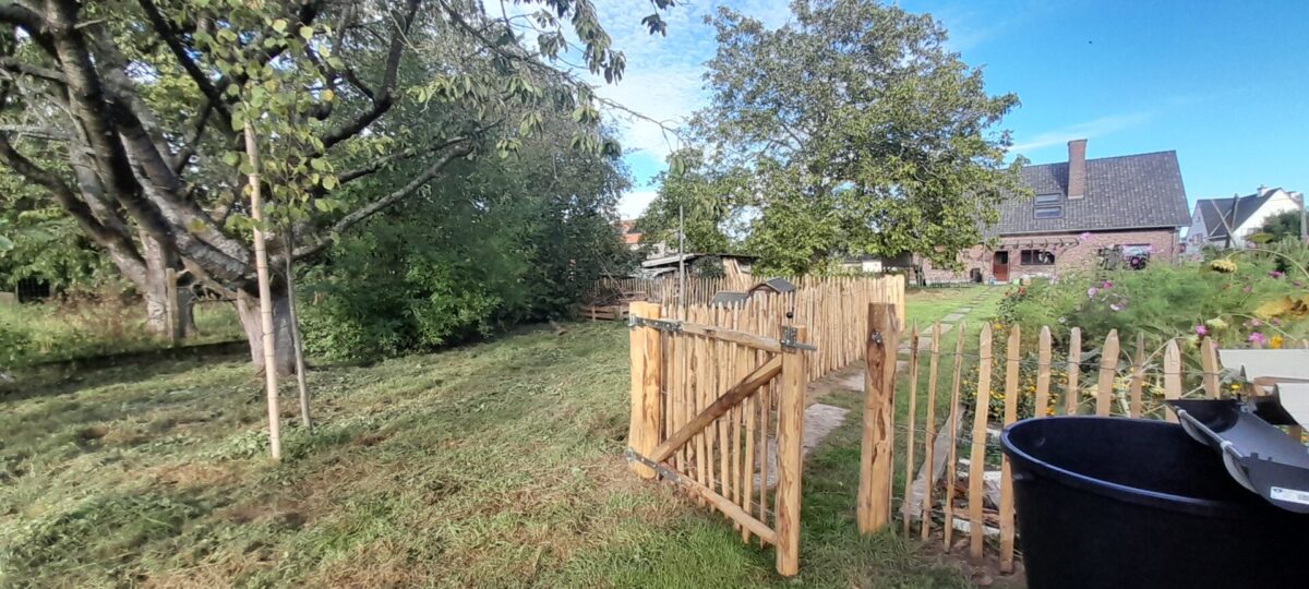 Frans schapenhek kastanje 100 hoog, latafstand 6 cm, 10m rol, Robinia paal 180 cm lang, diam. 8-10 cm, geschild gepunt, Robinia paal 180 cm lang, diam. 10-12 cm,geschild gepunt en Raamwerkpoort kastanje enkel 120Bx100H (cm), rechtsdraaiend, kippenhok en moestuin