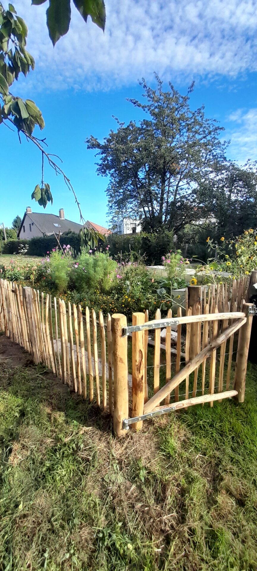 Kastanje schapenhek en 2 prachtige poorten voor een kippenhok en een moestuin