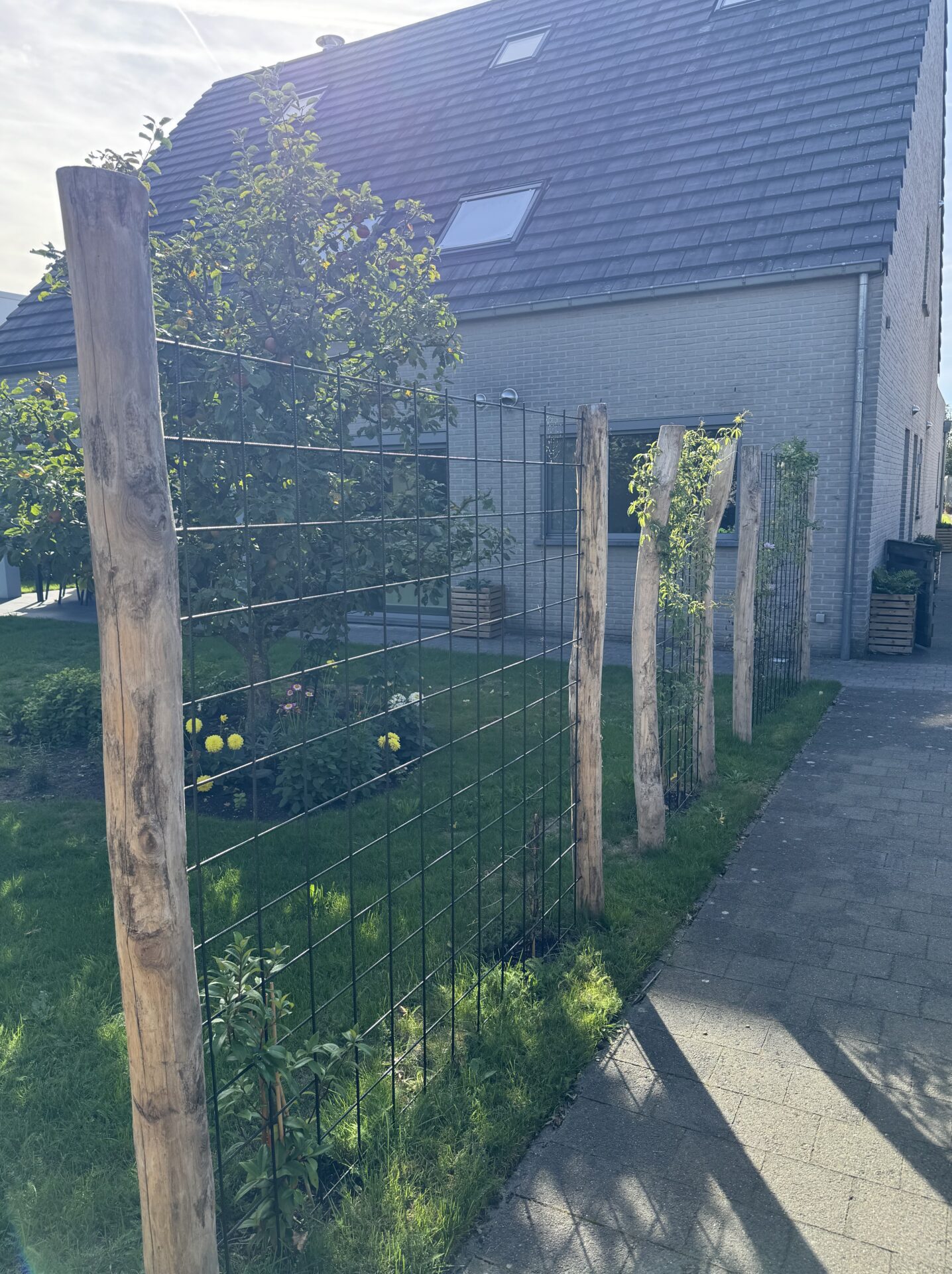 Robinia paal 250 cm lang, diam. 10-12 cm geschild gepunt en Robinia paal 200 cm lang, diam. 10-12 cm,geschild gepunt, plantenklimrek, natuurlijke afscherming